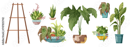Houseplant and macrame plant growing in pots. Set of handmade home decorations macrame plants and flower rack isolated on white background. Cartoon flat illustration.