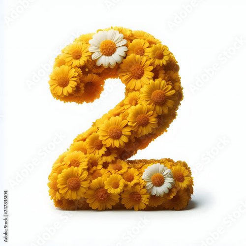 Number 2 is made of real natural Yellow flowers, Isolated on a white background, flower font concept, Creative Numbers
