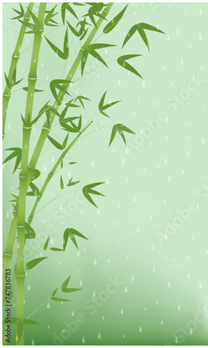 Fototapeta Naklejka Na Ścianę i Meble -  Poster background of green bamboo in the rain