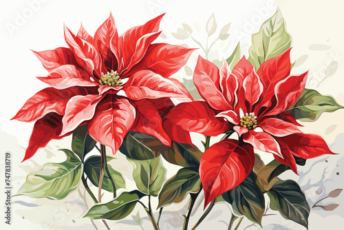 Red flower, christmas star, poinsettia on an isolated white background, watercolor illustration