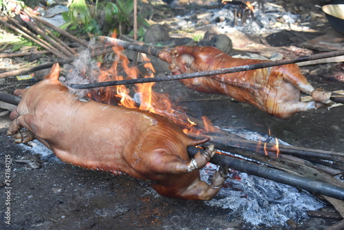 Lechon Baboy, Roasted Pig photo