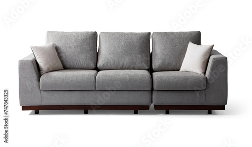 Modern sofa isolated on white background . front view