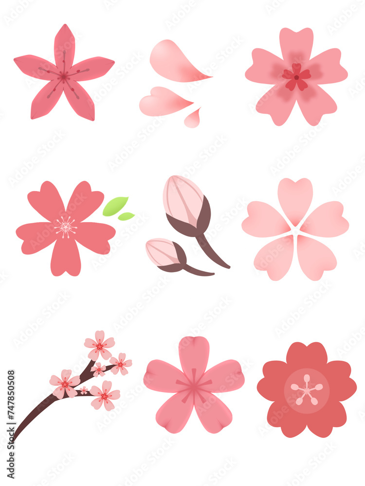 Cherry Blossom flower drawing Cherry Blossom flower drawing