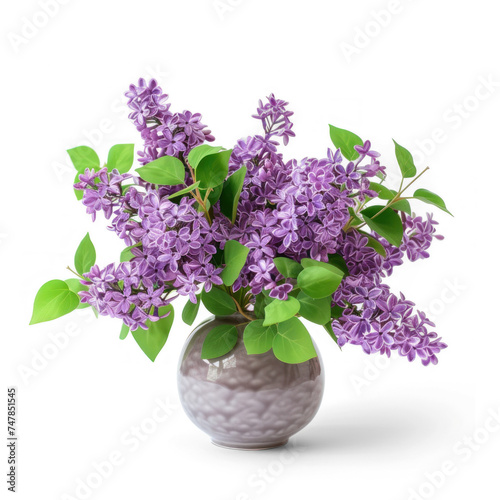 simple cute little miniature lilac flower arrangement on transparency background PNG 