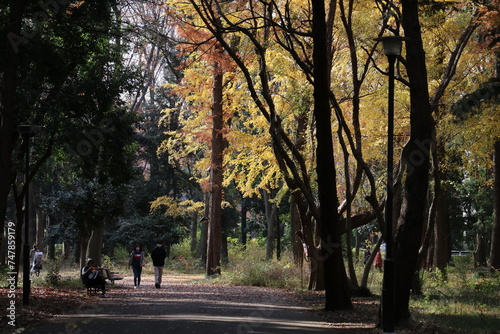 砧公園の秋。紅葉の公園。 photo