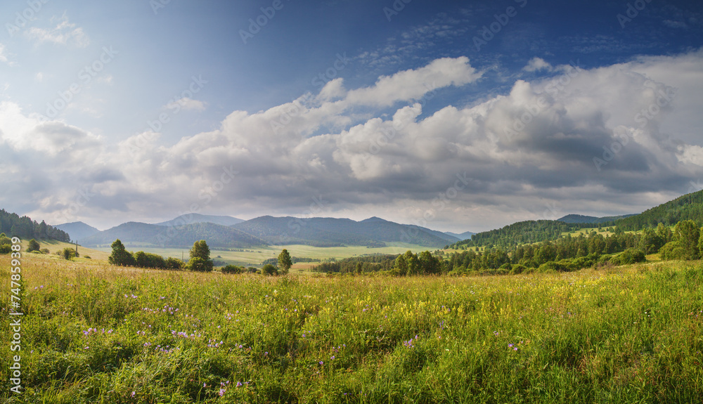 Green meadow and mountain valley, morning light - obrazy, fototapety, plakaty 