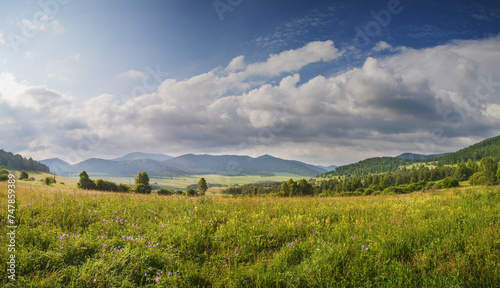 Green meadow and mountain valley  morning light