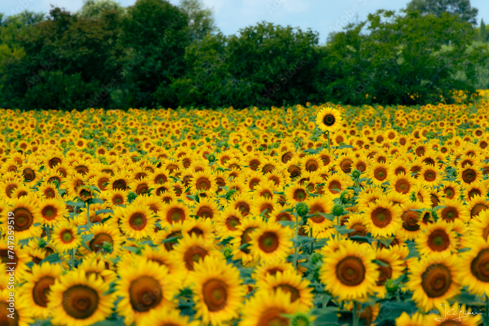 Obraz premium Above the mass