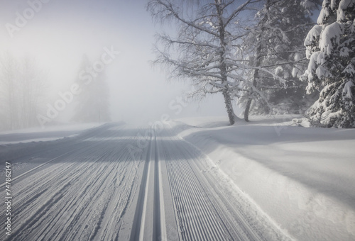 piste de ski nordique dans la brume matinale photo