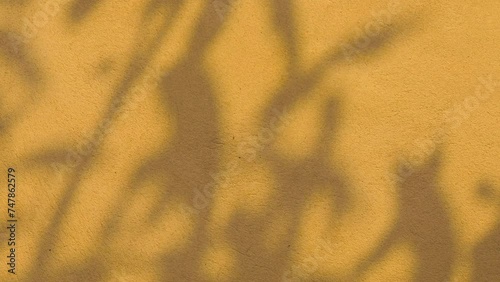 Soft and warm shades of tree leaves waving on a concrete wall, textured background