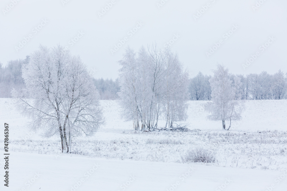 a couple of trees are in a snow filled field by some snow a couple of trees are in a snow filled field by some snow