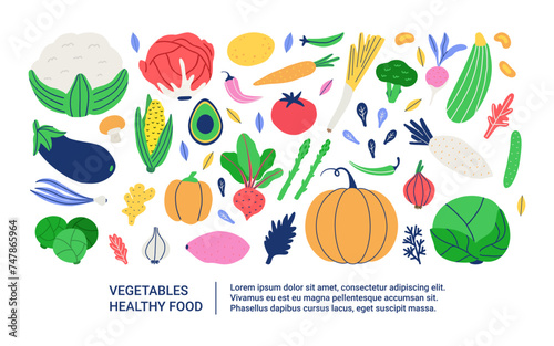 Healthy white graphic banner with hand drawn fresh organic vegetables. Template design nutrition site. Vector illustration 