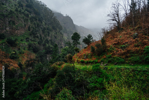 Cloudy sky over the hiking trail of Levada Nova, leading through the valley of Ponta do Sol, Madeira, Portugal