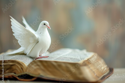 A white dove rests on a Bible