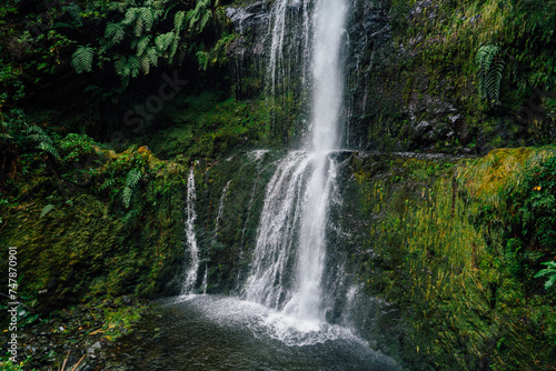 Fototapeta Naklejka Na Ścianę i Meble -  Landscapes of laurel forest on the route in Madeira called Levada do Caldeirão Verde