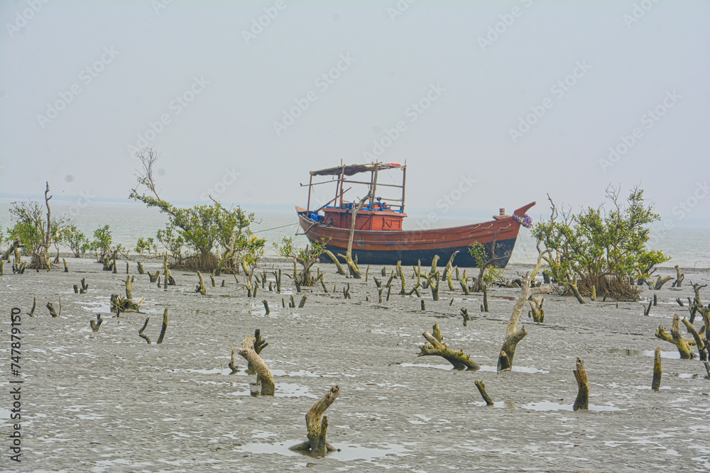  beautiful Mangrove forest and fishing boat behind mousuni island
