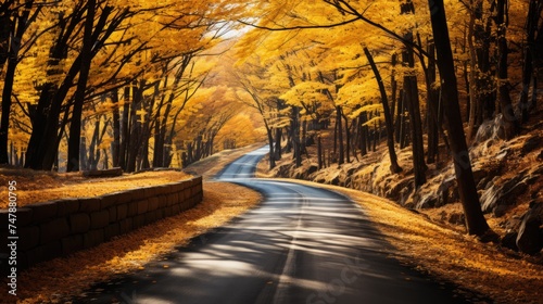 Autumn road in yellow leaves in a bright morning forest. The theme is the change of seasons.