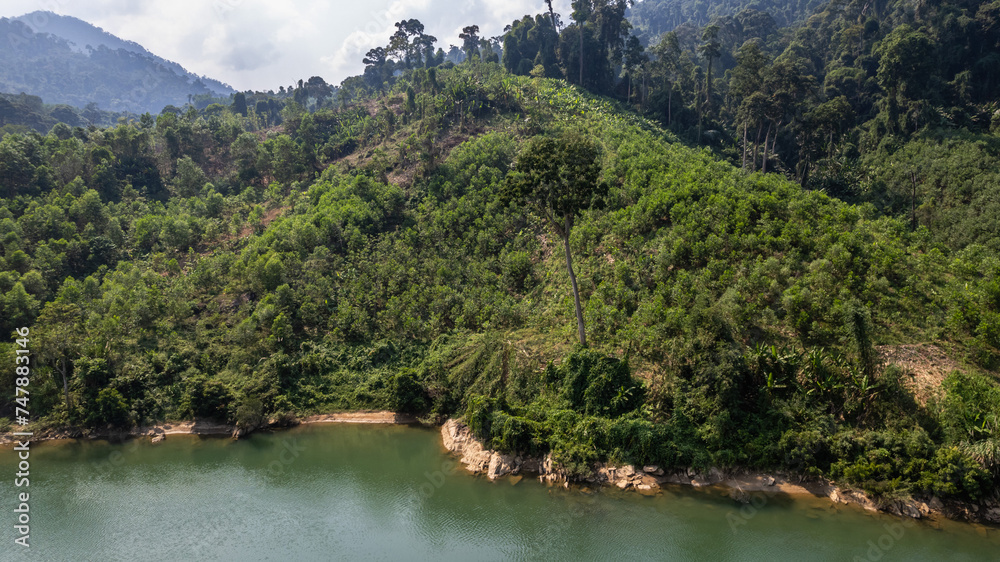 Aerial view of a lush green tropical forest with riverfront, suitable as a natural background with space for text