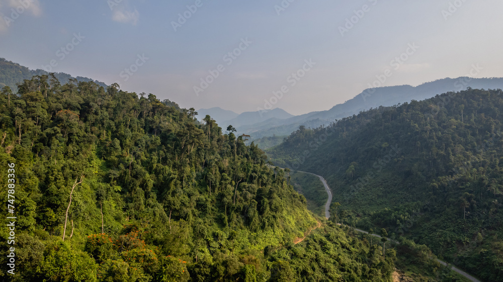 Serene tropical rainforest landscape with a winding road cutting through, suitable for environmental themes or as a tranquil natural background, Earth day