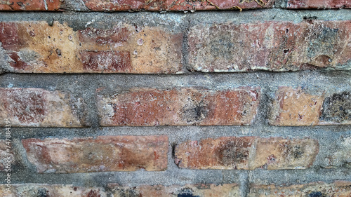 Weathered red brick wall texture with efflorescence, ideal for backgrounds and space for adding text