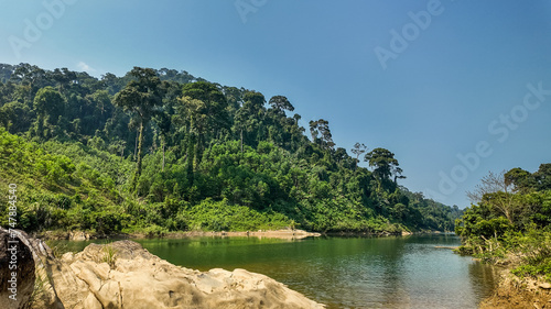 Tranquil tropical river landscape with lush greenery and clear blue sky  ideal for nature backgrounds or environmental concepts with copy space