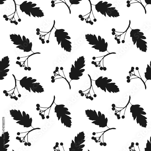 Pattern Rowan branch with berries and leaf imprint, silhouette in black. PNG.
