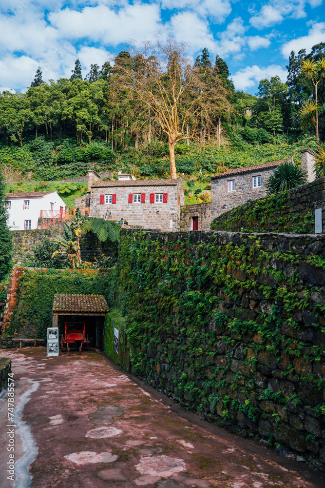 Ribeira dos Caldeirões Nature Park in Achada, Nordeste, São Miguel, Azores Islands, Portugal.