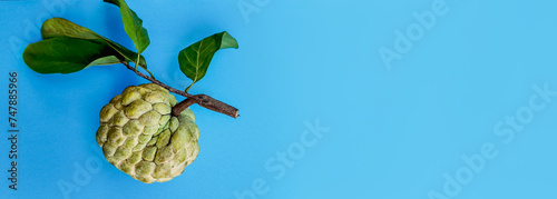 Fresh custard apple sugar-apple with green leaves against a blue background with copy space on the right, ideal for healthy eating and tropical fruit concepts photo