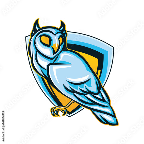 Owl mascot sport logo design