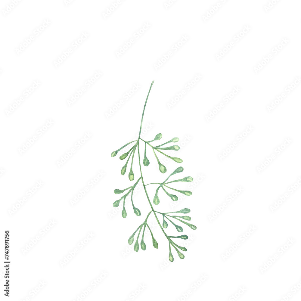 Naklejka premium Watercolor green leaves elements. Collection botanical isolated on white background suitable for Wedding Invitation, save the date, thank you, or greeting card.