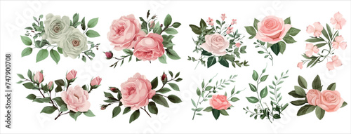 Elegant Collection of Pink Roses and Green Leaves; Detailed Vector Illustrations for Invitations