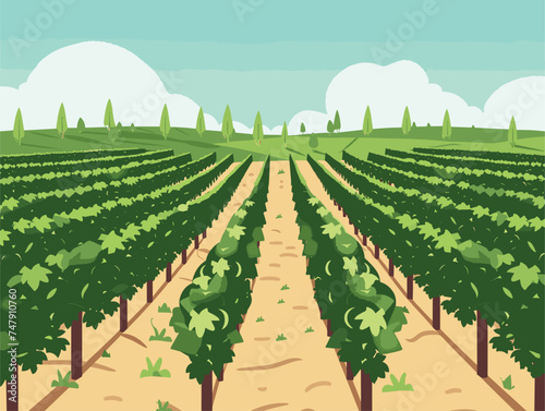 A cartoon illustration of a rural vineyard with rows of trees, a dirt road, and a clear blue sky. The natural landscape in the morning light, showcasing agriculture in a peaceful rural area photo