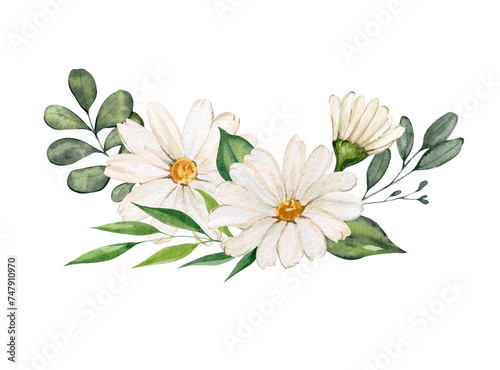 Watercolor composition with chamomile flowers and green plants. Botanical illustration of a bouquet of daisy buds and greenery, herbs. Design of greeting cards, invitations.