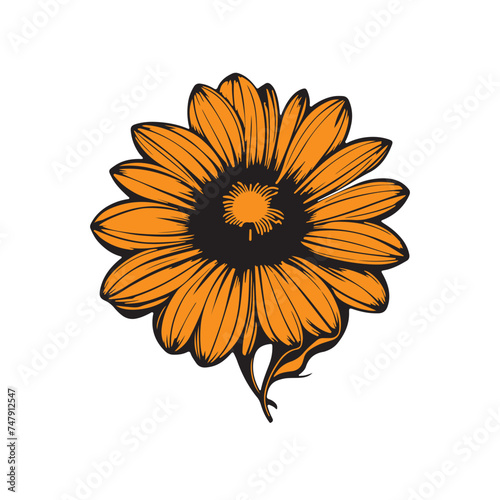 sunflower isolated on white