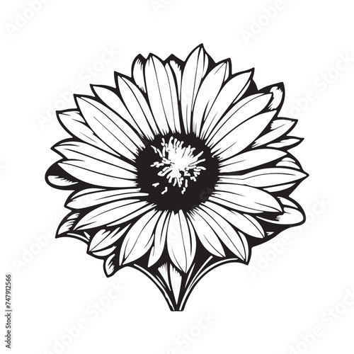 black and white flower