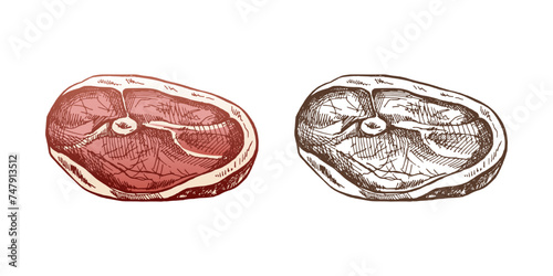 Hand-drawn colored and monochrome sketch of meat, pork or beef steak, chop meat, a piece of meat cuts, vector illustration. Vintage illustration. Decorations for the menu. Engraved image.