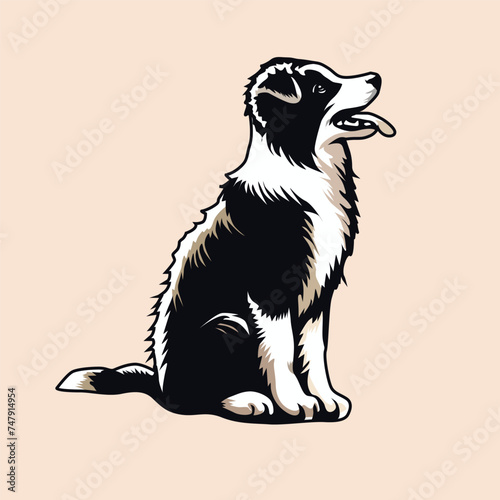 Border Collie sitting looking up illustration Vector 