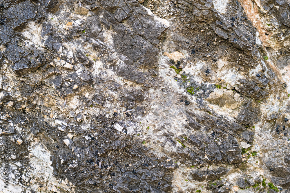 Texture of a natural rock with patches of earth and plants. Abstract stone texture.