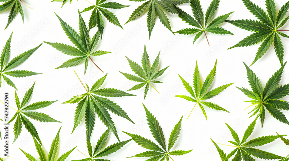 Marijuana and Cannabis on a White Background