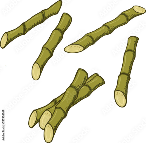 Green sugar cane sketch hand drawn doodle vector illustration isolated background. Drawn design fresh pie of green raw sugarcane, agriculture, food, ingredient. For label, print, cart, wrapping, paper