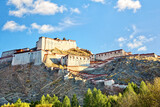 Tibetan Fort in Gyangze, Xigaze, Tibet