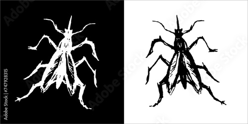 Illustration vector graphics of Buggys icon
