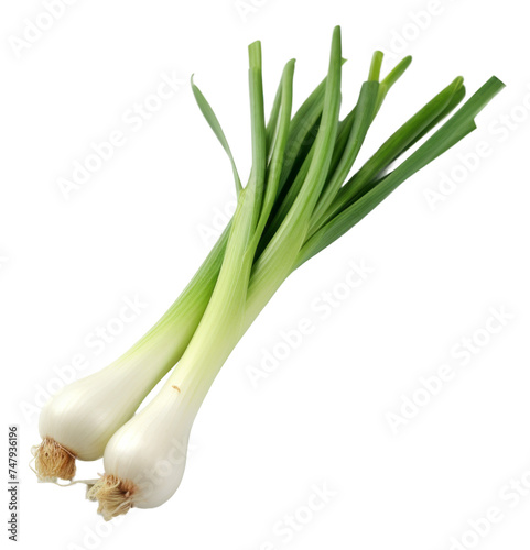 spring onions isolated on transparent background