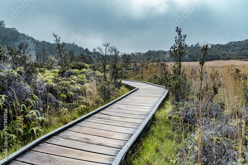 Canvas Print At Ha'akulamanu (Sulphur Banks), volcanic gases seep out of the ground, along with ground water steam
