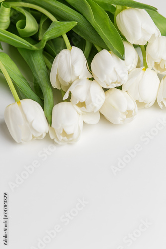 Lush White Tulips with Vivid Green Leaves. Greeting Postcard.
