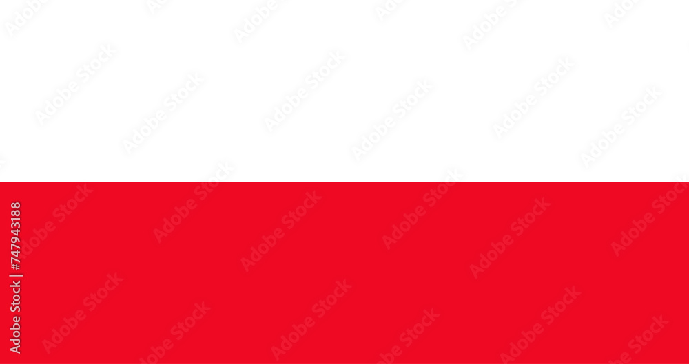 vector illustration flag of Poland - obrazy, fototapety, plakaty 