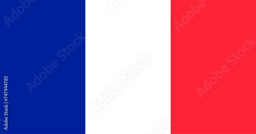 vector illustration flag of France