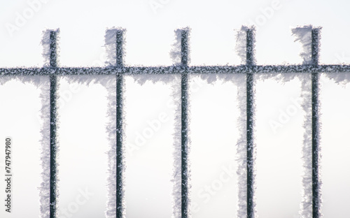 A metal fence in a park covered with snow and frost.