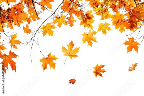 A bunch of leaves flying in the air  suitable for nature concepts