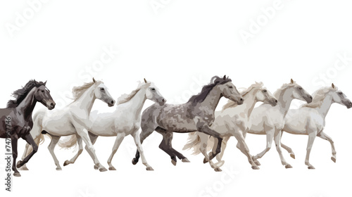 Fototapeta Naklejka Na Ścianę i Meble -  A group of horses running in a line on a white background